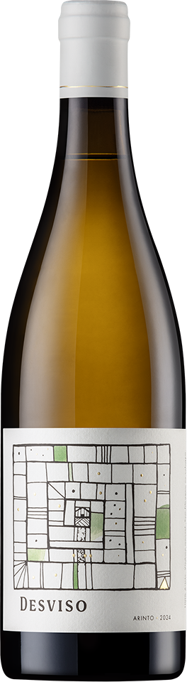 Desviso Arinto 2024